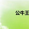公牛王朝球员名单（公牛王朝）