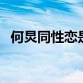 何炅同性恋是和谁（何炅同性恋是真的吗）