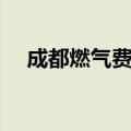 成都燃气费查询明细（成都燃气费查询）