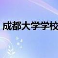 成都大学学校代码查询（成都大学学校代码）