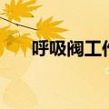 呼吸阀工作原理图（呼吸阀工作原理）