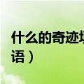 什么的奇迹填空词语搭配（什么的奇迹填空词语）