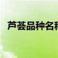 芦荟品种名称及图片（芦荟品种辨别图片）