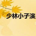 少林小子演员表2021（少林小子演员表）
