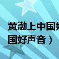 黄渤上中国好声音是哪一年第几期（黄渤上中国好声音）