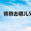 爸爸去哪儿5名单（爸爸去哪儿5有哪些人）