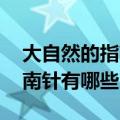 大自然的指南针有哪些 二年级（大自然的指南针有哪些）