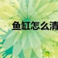 鱼缸怎么清洗视频教程（鱼缸怎么清洗）