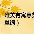 唯美有寓意英文单词有哪些（唯美有寓意英文单词）