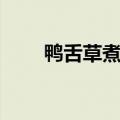 鸭舌草煮水喝有什么功效（鸭舌草）