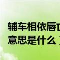 辅车相依唇亡齿寒的意思是什么（唇亡齿寒的意思是什么）