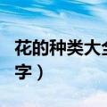 花的种类大全及名字英语（花的种类大全及名字）