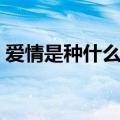 爱情是种什么东西图片（爱情是种什么东西）