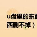 u盘里的东西删不掉也存不进去（u盘里的东西删不掉）