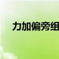 力加偏旁组新字组词（力加偏旁组新字）