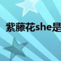 紫藤花she是翻唱吗还是原唱（紫藤花she）