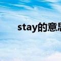 stay的意思是什么中文（stay的意思）