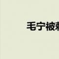 毛宁被刺的真实原因（毛宁被刺）