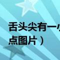 舌头尖有一小白点粒特别疼（舌头长了个小白点图片）