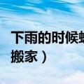 下雨的时候蚂蚁为什么要搬家（蚂蚁为什么要搬家）