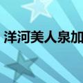 洋河美人泉加盟代理加盟费用（洋河美人泉）