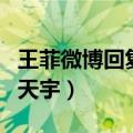 王菲微博回复马天宇的评论（王菲微博回复马天宇）
