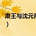 肃王与沈元用文言文翻译答案（肃王与沈元用）
