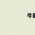牛眼灯多少瓦（牛眼灯）