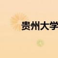 贵州大学就业报告（贵州大学就业）