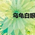 乌龟白眼病初期图片（乌龟白眼病）