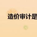 造价审计是做什么的（审计是做什么的）