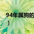 94年属狗的是什么命（91年属羊的是什么命）