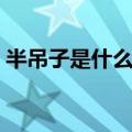 半吊子是什么意思解释（半吊子是什么意思）