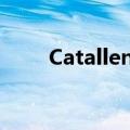 Catallena的MV解析（catallena）