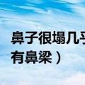 鼻子很塌几乎没有鼻梁图片（鼻子很塌几乎没有鼻梁）