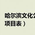 哈尔滨文化公园项目表最新（哈尔滨文化公园项目表）