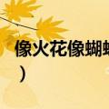 像火花像蝴蝶结局是什么（像火花像蝴蝶结局）