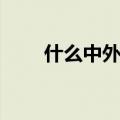 什么中外成语四字词语（什么中外）