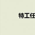 特工任务电视剧（特工电视剧）