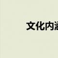 文化内涵是什么意思（文化内涵）