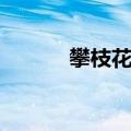 攀枝花景点推荐（攀枝花景点）