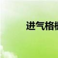 进气格栅是什么东西（进气格栅）