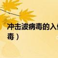 冲击波病毒的入侵会造成以下除什么以外的现象（冲击波病毒）