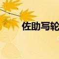 佐助写轮眼的能力（写轮眼的能力）