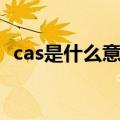 cas是什么意思的缩写（cas是什么的缩写）