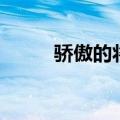 骄傲的将军观后感（骄傲的将军）