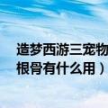 造梦西游三宠物悟性根骨灵力最高是多少（造梦西游3宠物根骨有什么用）
