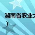 湖南省农业大学学费（湖南农业大学学费多少）