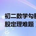 初二数学勾股定理难题解析视频（初二数学勾股定理难题）