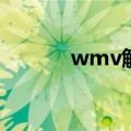 wmv解码器（mpeg2解码器）